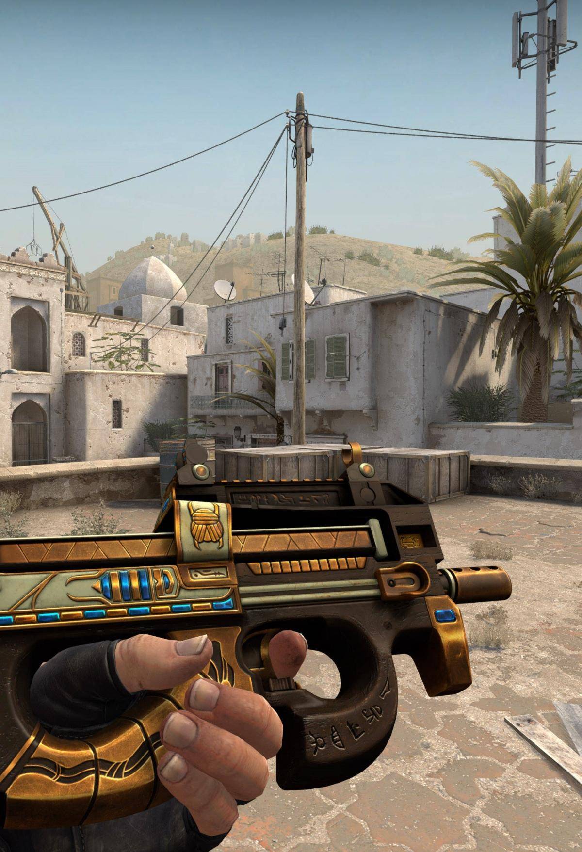 卫冕冠军智 卫冕冠军智