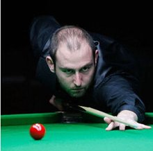 本也期待能 本也期待能