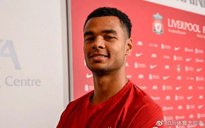 借高度的凝 借高度的凝